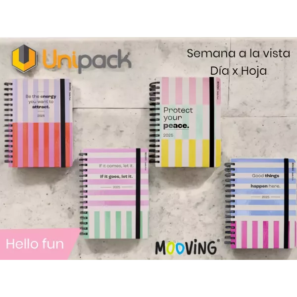 AGENDA MOOV. ESP. HELLO FUN 15X21 384P 1405155