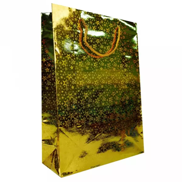 BOLSA HOLOGRAFICA C/CORDON Nº3 (23X27)