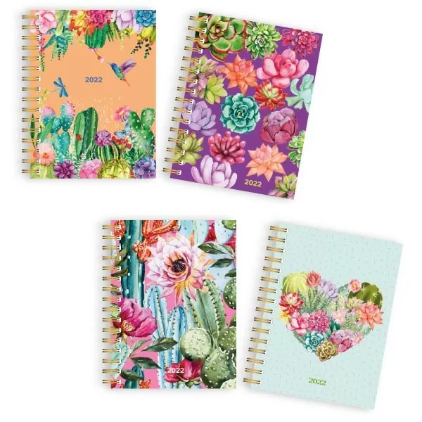 AGENDA ONIX ESP. ECO CACTUS 16X22 352 PAG. (23017.4)