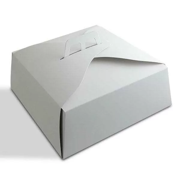 Gomas Elásticas para Oficina y Packaging - Bandex